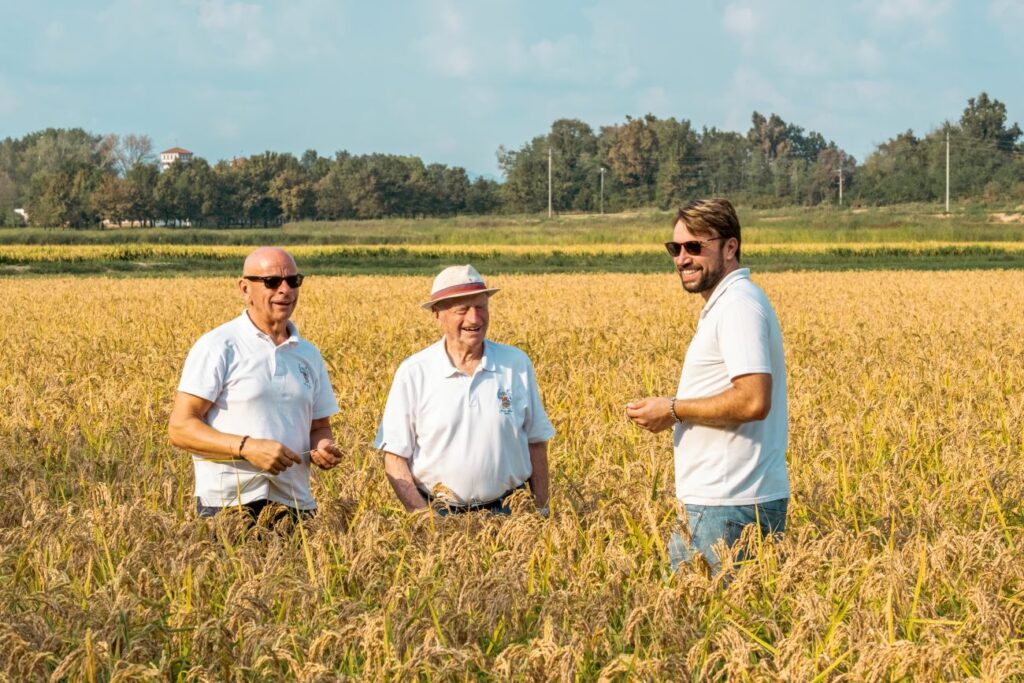 Riso Goio | Riso di Baraggia Biellese e Vercellese DOP