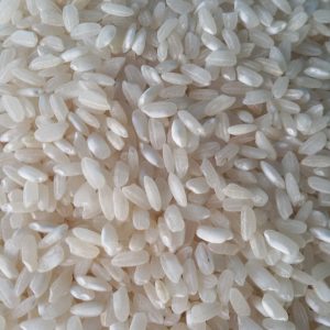 20170824_183039-scaled