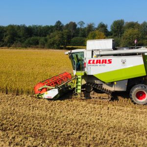 dji_fly_20231007_144742_113_1696682870124_photo_optimized